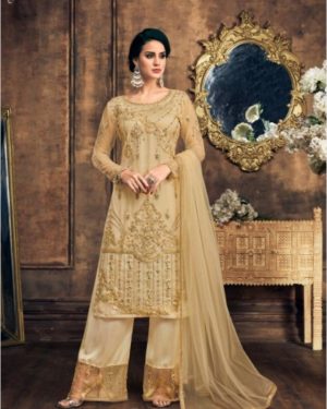 Salwar Kameez 16051