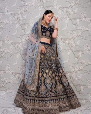 Lehenga 2801